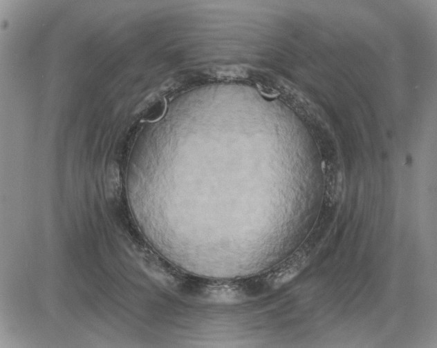 X0000081300704200701251718