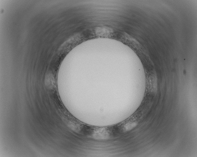 X0000081300705200701251718