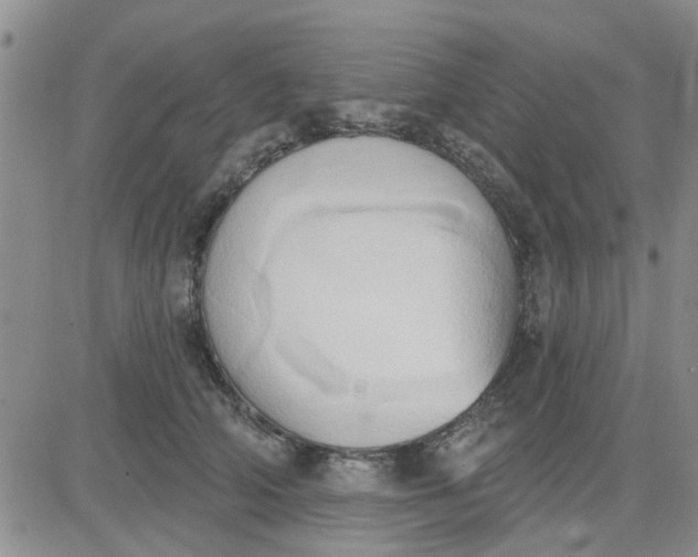 X0000081300706200701251718