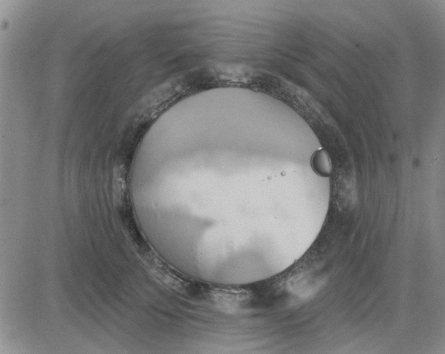 X0000081300707200701251718