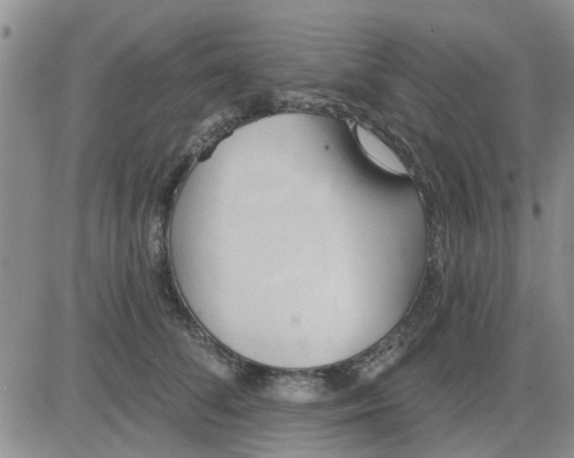 X0000081300708200701251718