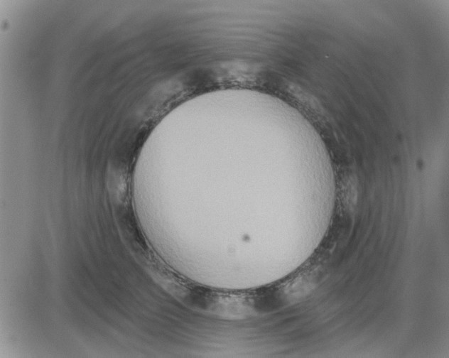 X0000081300709200701251718