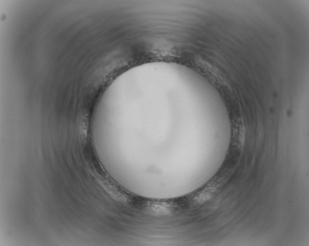 X0000081300710200701251718