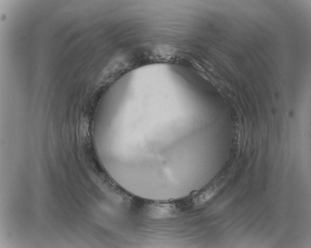 X0000081300711200701251718