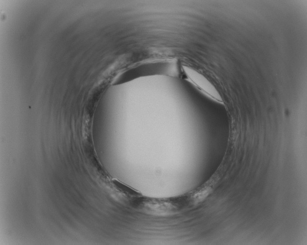 X0000081300712200701251718