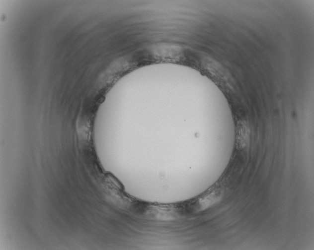 X0000081300713200701251718