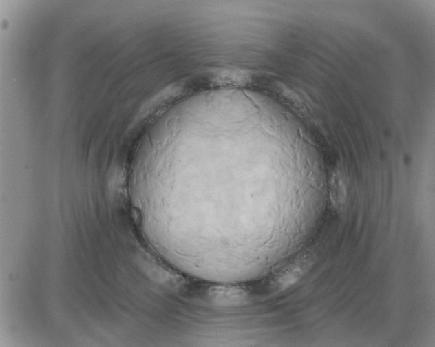 X0000081300714200701251718