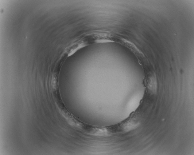 X0000081300715200701251718