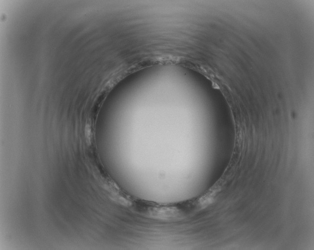 X0000081300716200701251718