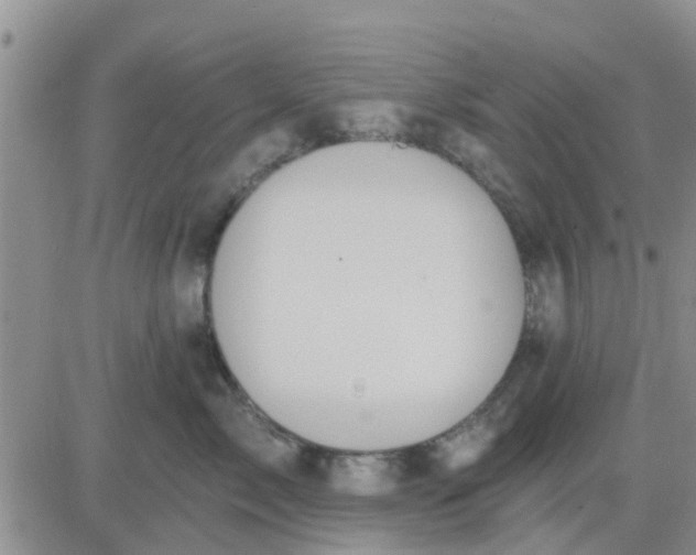 X0000081300717200701251718