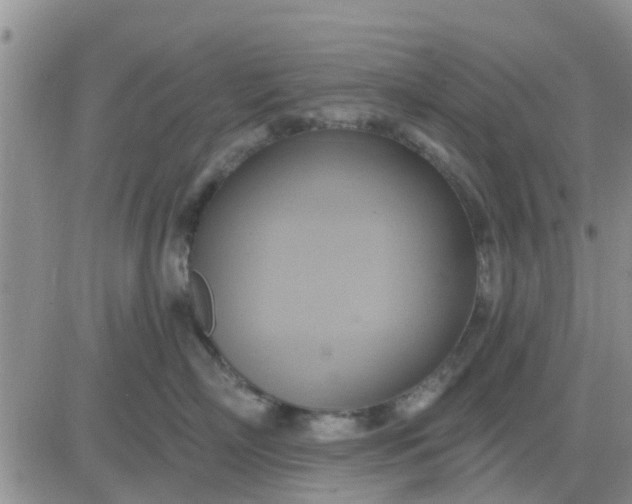 X0000081300718200701251718