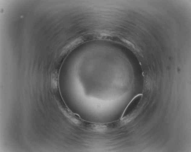 X0000081300719200701251718