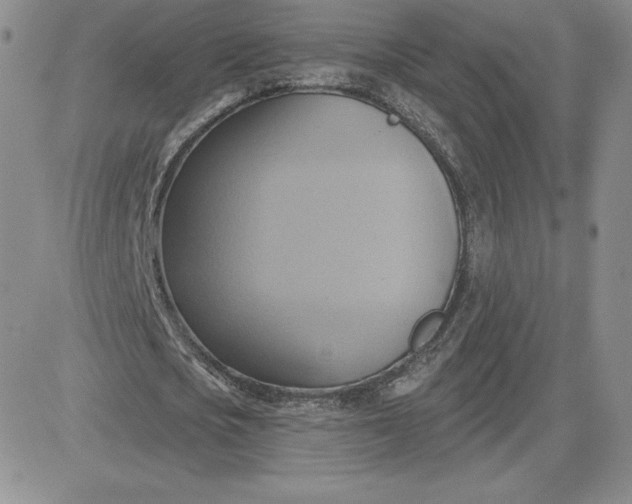 X0000081300721200701251717