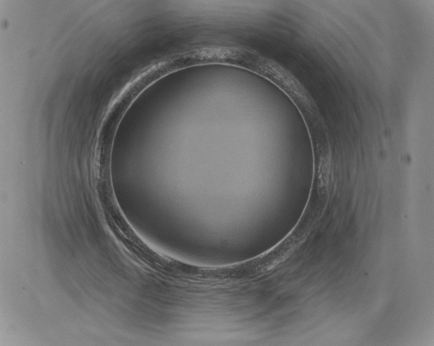 X0000081300722200701251717