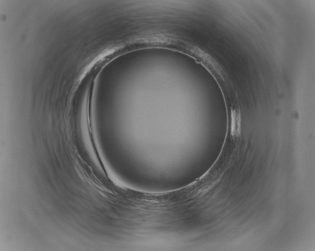 X0000081300723200701251717