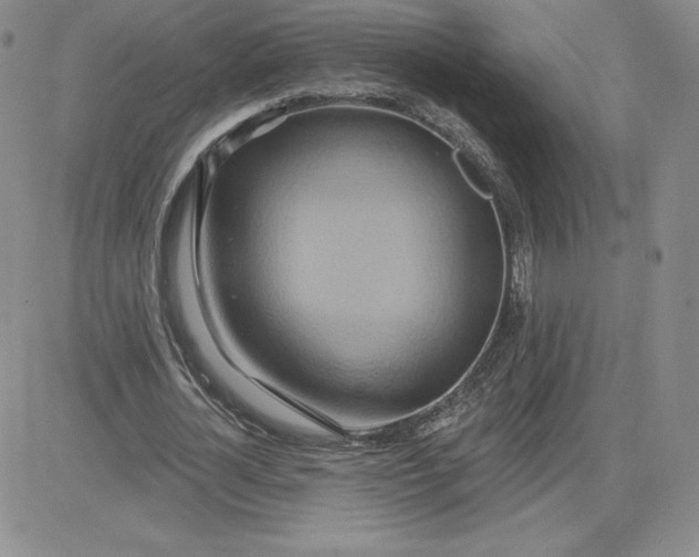 X0000081300724200701251717