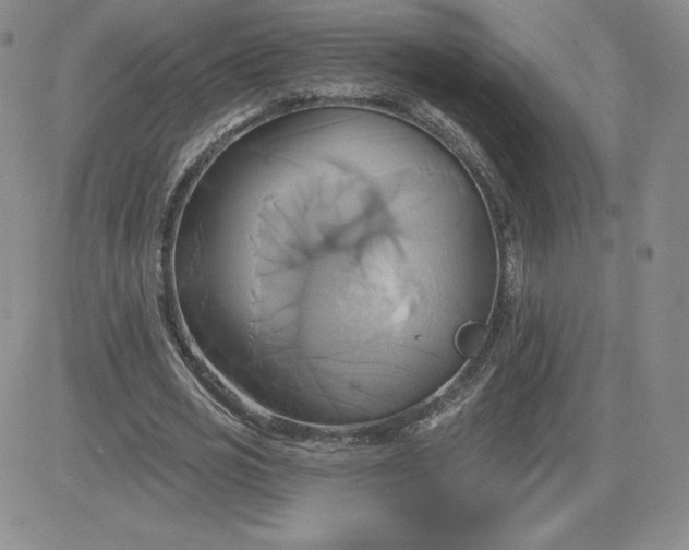 X0000081300725200701251717