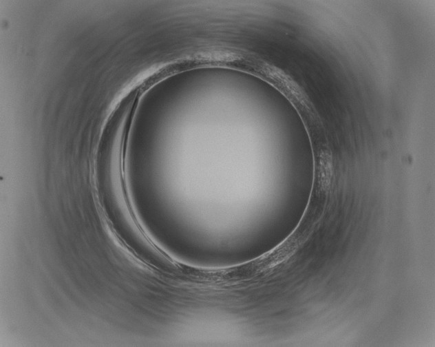 X0000081300726200701251717