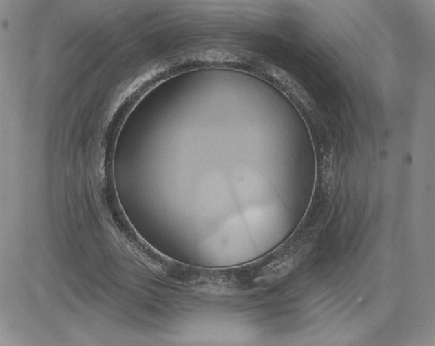 X0000081300727200701251717