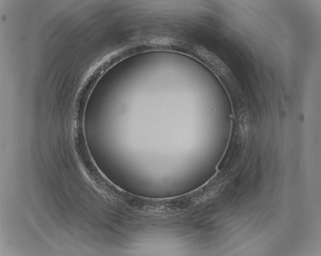 X0000081300728200701251717