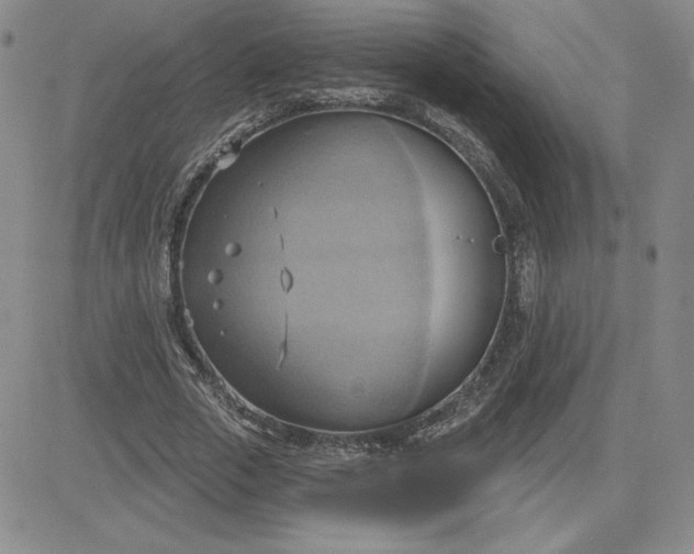 X0000081300729200701251717