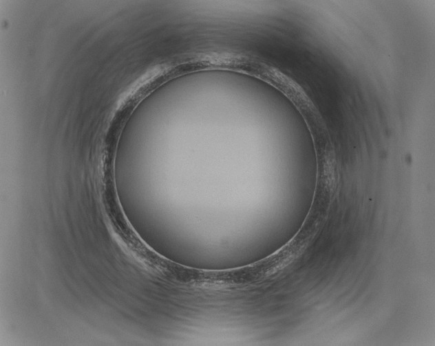 X0000081300730200701251717