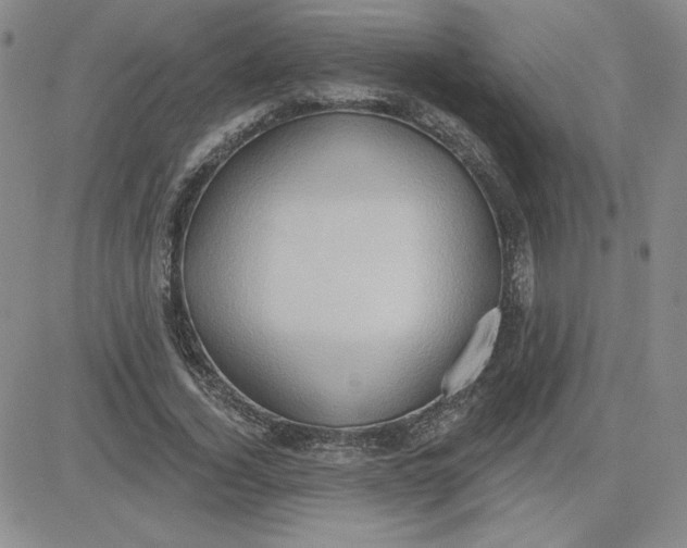 X0000081300732200701251717