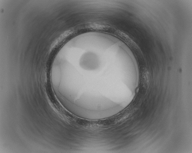 X0000081300734200701251717