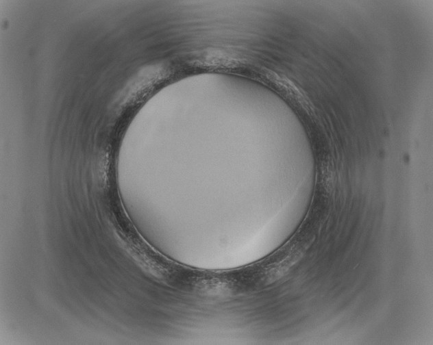 X0000081300735200701251717