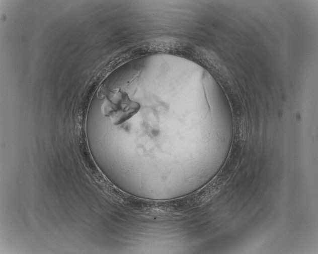 X0000081300737200701251717