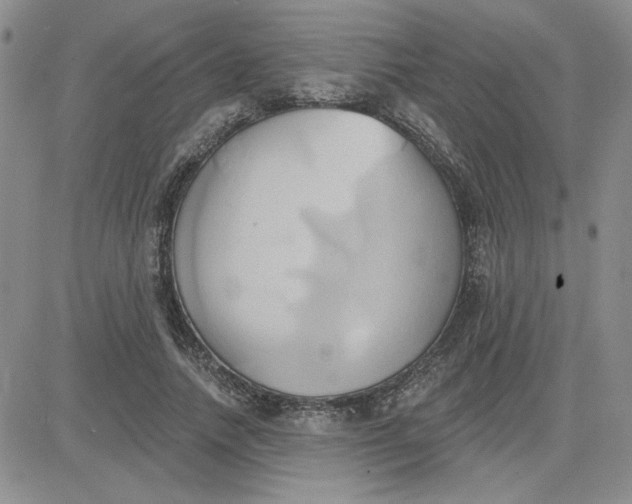 X0000081300738200701251717