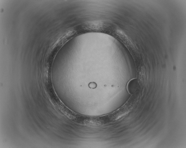 X0000081300739200701251717