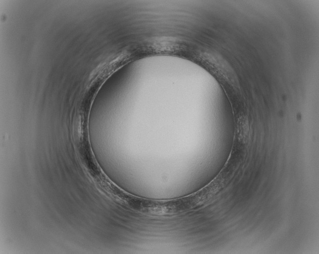 X0000081300740200701251717