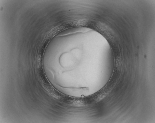 X0000081300741200701251717