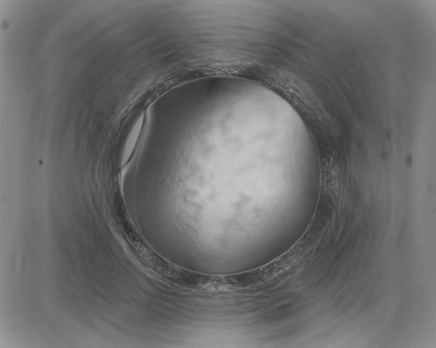 X0000081300742200701251717