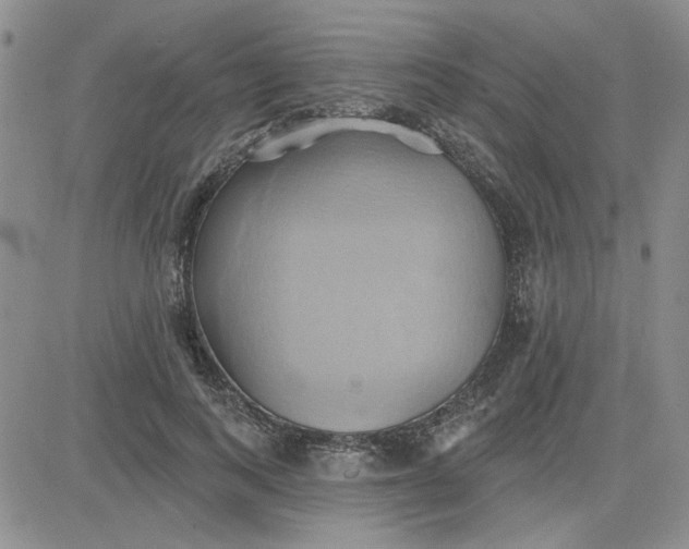 X0000081300743200701251717