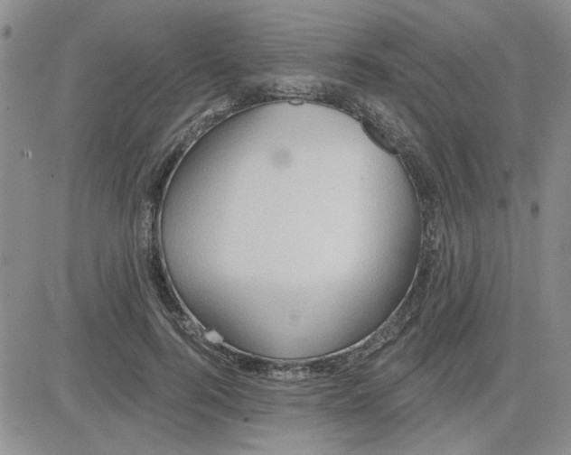 X0000081300744200701251717