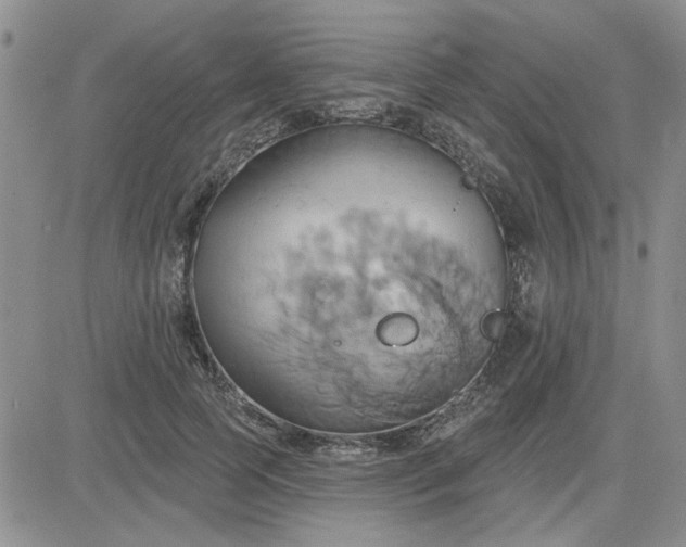 X0000081300745200701251717