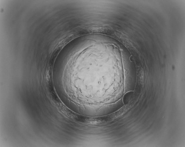 X0000081300746200701251717