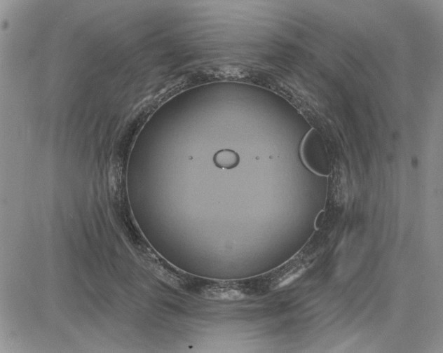 X0000081300747200701251717