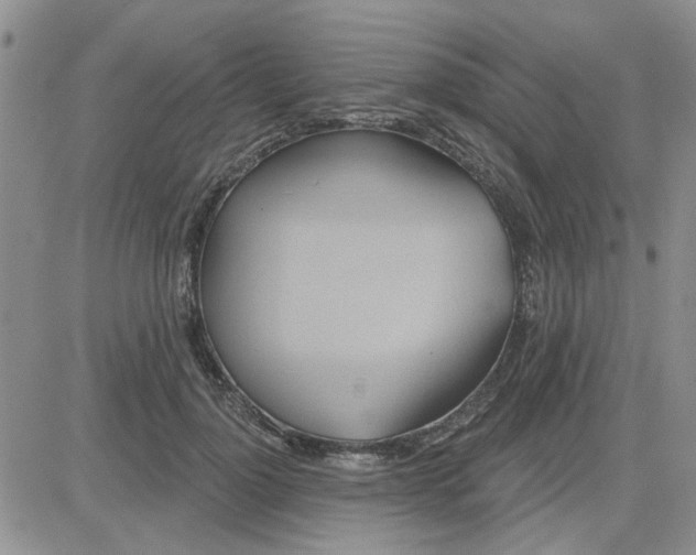 X0000081300748200701251717