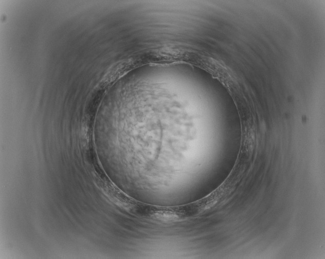 X0000081300749200701251717