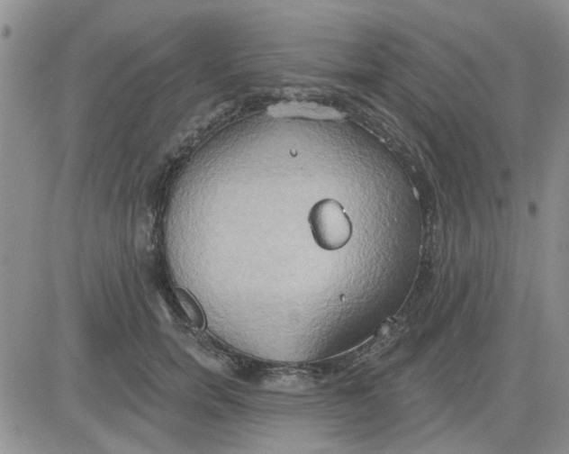 X0000081300750200701251717