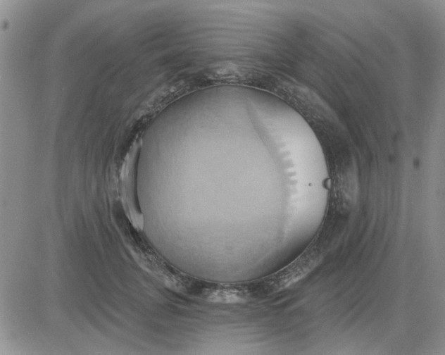 X0000081300751200701251717