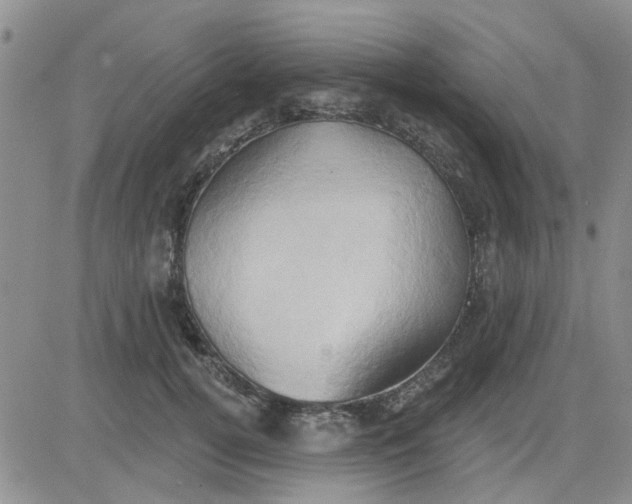 X0000081300752200701251717