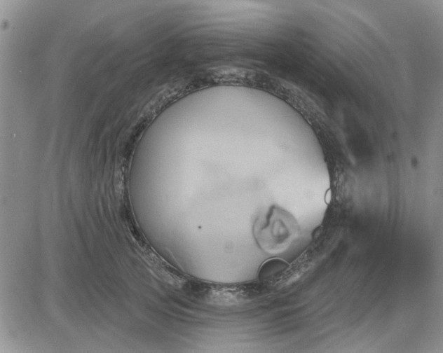 X0000081300753200701251718