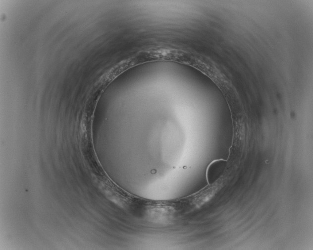 X0000081300754200701251718