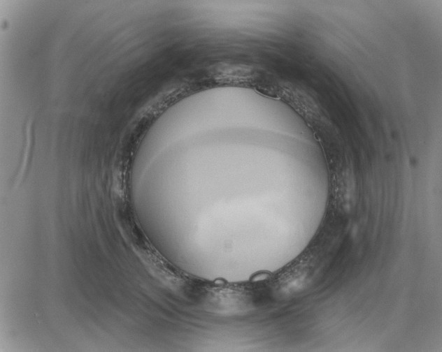 X0000081300755200701251718