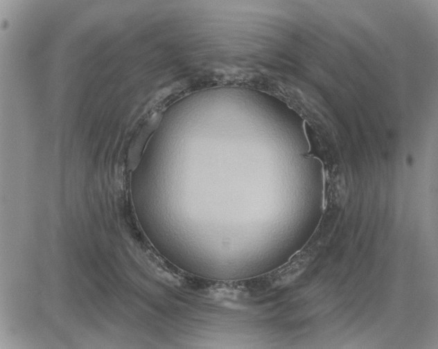 X0000081300756200701251718