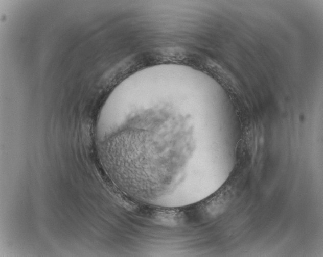 X0000081300757200701251718